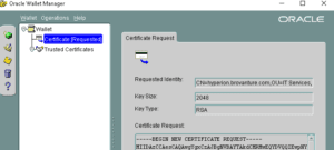 Brovanture Oracle Wallet SSL Certificate 